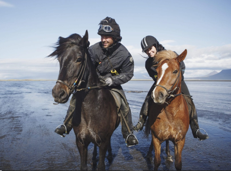 Das Islandpferd: Ein unvergessliches Pferdeerlebnis